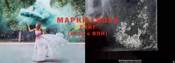 прущие крисы Надым